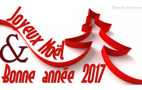 Bonnes fêtes à tous