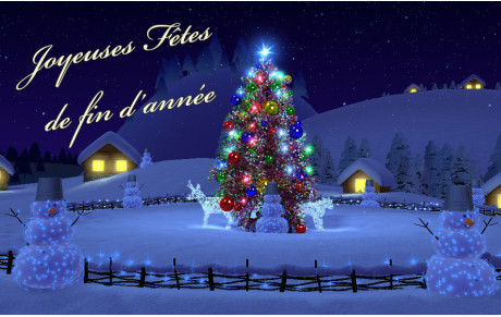 Bonnes fêtes à tous...