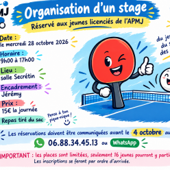 Stage de la Toussaint : une journée 100% Ping !